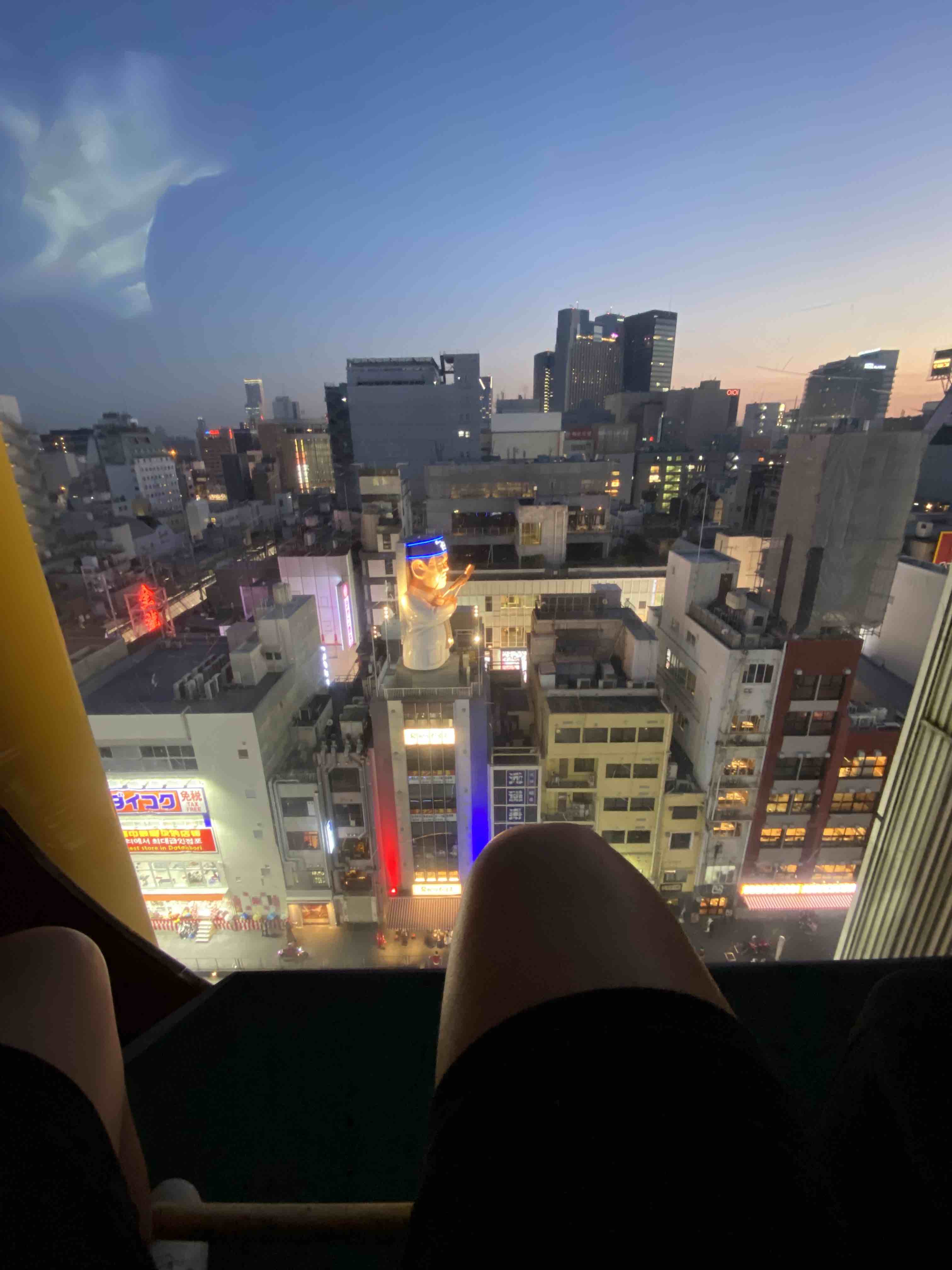 Osaka skyline from Donki ferris wheel